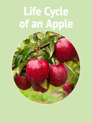 cover image of Life Cycle of a Apple